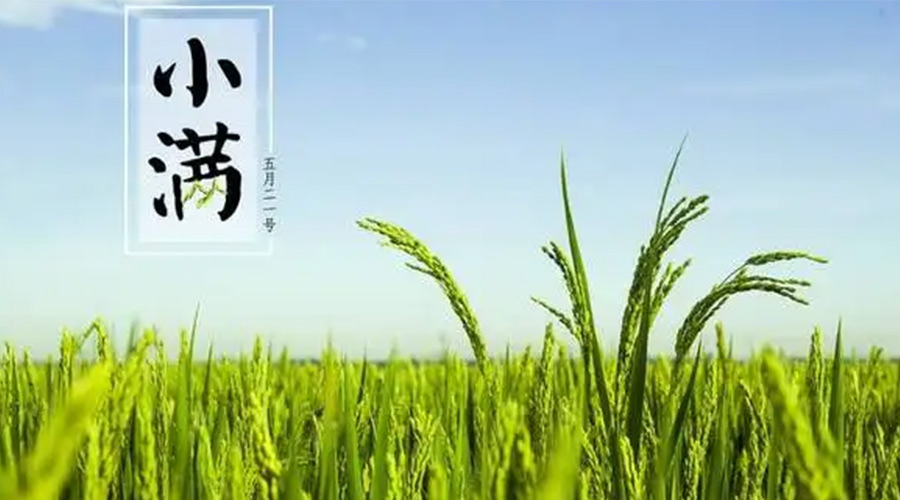 小滿時節(jié)！金環(huán)電器提醒大家要注意的事項