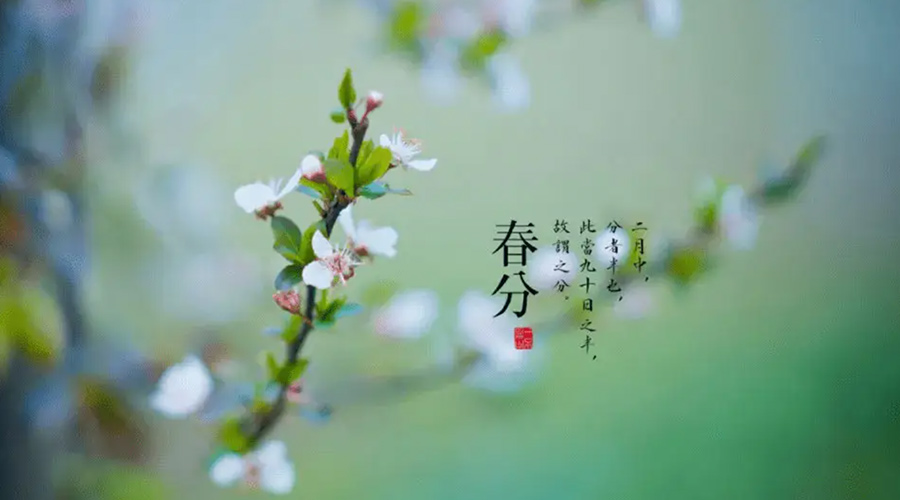 春分雨水多易生菌！金環(huán)電器提醒你衣物要注意處理