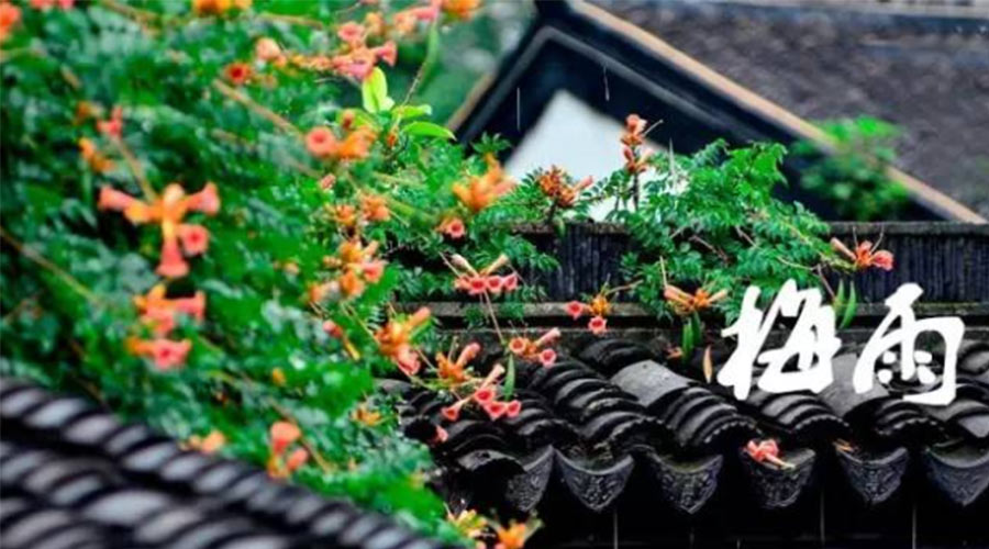 什么是梅雨？梅雨如何形成？  金環(huán)電器告訴你答案